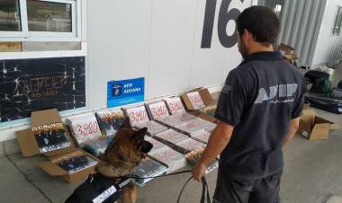 LA ADUANA INCAUTÓ 483 VINILOS DE VILMA PALMA E VAMPIROS VALUADOS EN $5 MILLONES