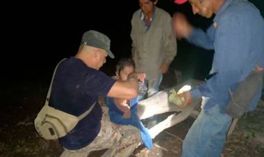 HALLARON A UN NIÑO QUE ESTABA PERDIDO EN SALTA: CAMINÓ 5 KILÓMETROS DURANTE LA NOCHE