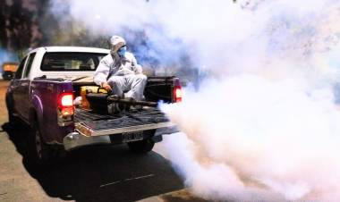 EN SAN LUIS CONFIRMARON OTROS CINCO CASOS DE DENGUE