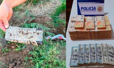 TRAS MILLONARIO ROBO, HALLARON ENTERRADOS EN UN BALDÍO DE CÓRDOBA U$S 63.000 Y MÁS DE 1 MILLÓN DE PESOS