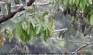 CLIMA: EXPECTATIVAS PARA EL PRÓXIMO TRIMESTRE