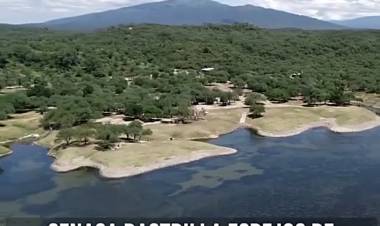 SANIDAD ANIMAL: PREVENCIÓN DE INFLUENZA AVIAR 