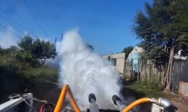 DENGUE EN TUCUMÁN: CONTINÚAN LOS TRABAJOS DE PREVENCIÓN POR PARTE DEL MINISTERIO DE SALUD PROVINCIAL