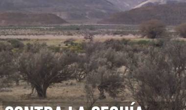 PATAGONIA: CONTRA LA DESERTIFICACIÓN Y LA SEQUÍA