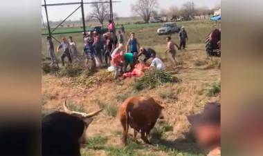 MIRÁ LOS VIDEOS: VOLCÓ UN CAMIÓN QUE TRANSPORTABA VACAS Y LAS FAENARON AL COSTADO DE LA RUTA