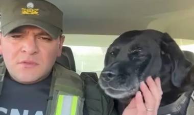"PEQUI", LA PERRA DE GENDARMERÍA, REALIZÓ SU ÚLTIMA PATRULLA