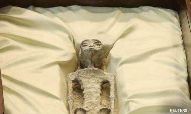 ¿ALIENS EN MÉXICO? PRESENTARON CUERPOS NO HUMANOS DE HACE 1000 AÑOS EN EL CONGRESO MEXICANO