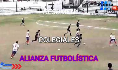 RESUMEN: COLEGIALES - AVIADOR ORIGONE