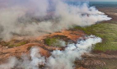 ALIVIO AMBIENTAL: LLUVIAS EN EL CENTRO DE BRASIL APAGAN INCENDIOS EN EL MAYOR HUMEDAL DEL PLANETA