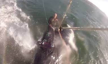 UNA BALLENA LO TIRÓ DE LA TABLA MIENTRAS HACÍA KITE SURF