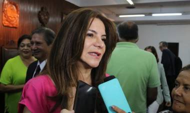 TUCUMÁN: EL DNU SEGÚN LA DIPUTADA NACIONAL GLADYS MEDINA