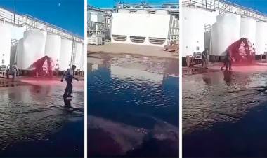 MILLONARIAS PÉRDIDAS EN MENDOZA: SE DERRAMARON MÁS DE 50.000 LITROS DE VINO POR LA EXPLOSIÓN DE UN TANQUE