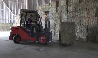 IMPULSO AL SECTOR PRIVADO: SAN LUIS CONCRETÓ LA EXPORTACIÓN DE 550 TONELADAS DE ALFALFA A ARABIA SAUDITA