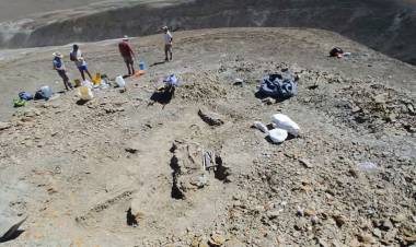 ENCONTRARON EN CHUBUT UNA NUEVA ESPECIE DE DINOSAURIO EN ARGENTINA