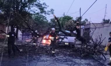 EL GOBIERNO DE SAN LUIS ATIENDE LAS NECESIDADES DE LOS VECINOS AFECTADOS POR LA TORMENTA