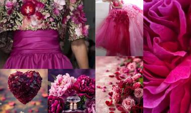 LA BELLEZA DE LAS FLORES