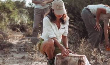 CHIPISCÚ: LA “SEMANA POR LA CONSERVACIÓN” EN SAN LUIS CERRÓ CON UNA LIBERACIÓN DE REPTILES, AVES Y MAMÍFEROS