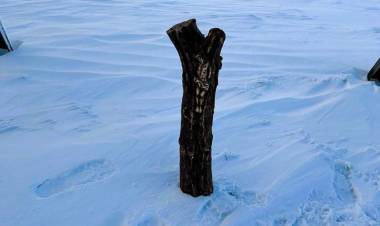 ANTÁRTIDA ARGENTINA: EL MILAGROSO SEÑOR DE RENCA FUE ENTRONIZADO EN LA BASE MARAMBIO