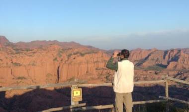HISTORIA EN ALAS: REALIZARON EL PRIMER CENSO DE CÓNDOR ANDINO EN SAN LUIS