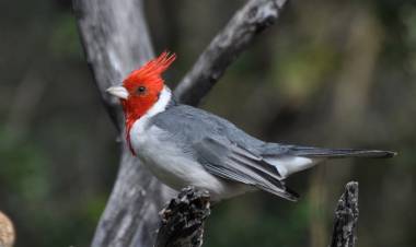 SAN LUIS DEFINIÓ LOS HORARIOS DE VISITA A SUS RESERVAS NATURALES HASTA DICIEMBRE