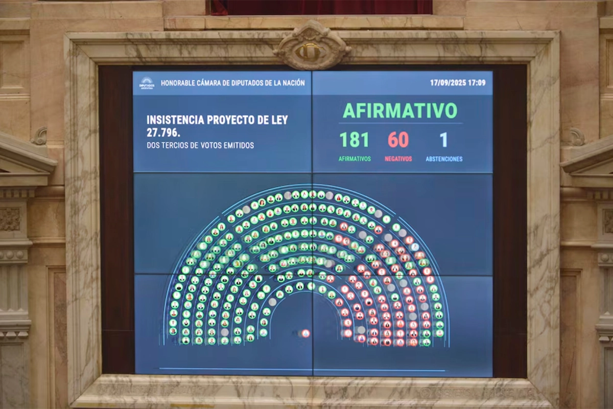DIPUTADOS RECHAZÓ LOS VETOS DE MILEI A LA EMERGENCIA PEDIÁTRICA Y UNIVERSIDADES