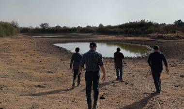 SAN LUIS AVANZA CON PLANES DE MANEJO DE BOSQUE Y GANADERÍA INTEGRADA
