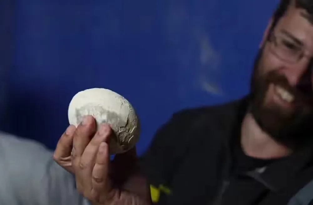 HALLAN UN HUEVO DE DINOSAURIO CARNÍVORO EN EXCELENTE ESTADO EN RÍO NEGRO