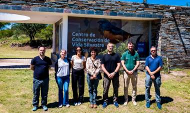 SAN LUIS IMPULSA UNA INVESTIGACIÓN SOBRE CONTAMINACIÓN AMBIENTAL Y FAUNA NATIVA