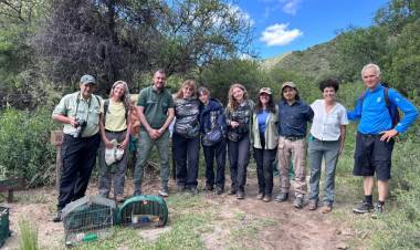 BIODIVERSIDAD EN SAN LUIS: AVES Y MAMÍFEROS REGRESARON A SU HÁBITAT NATURAL EN LA QUEBRADA DEL PALMAR