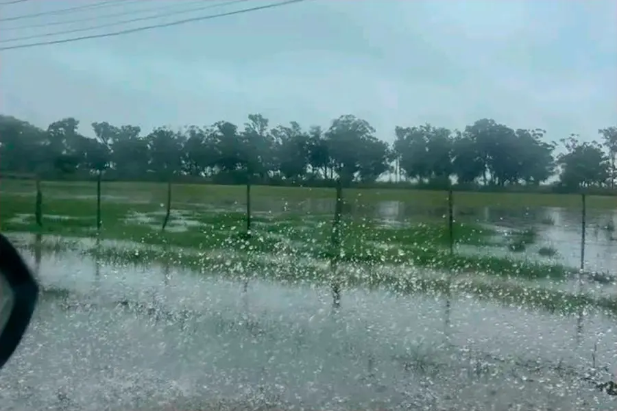 Pronostican regreso de El Niño y alertan impacto en el agro