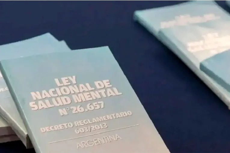 Senado debate la reforma de Salud Mental y las internaciones 