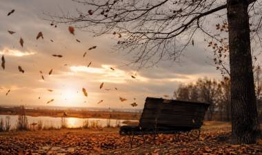 “Viento de otoño”: una poesía sobre el amor, la distancia y la esperanza