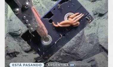 Encontraron un casete VHS a 2.643 metros de profundidad en el Mar Argentino