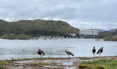 Clima en San Luis: lunes con lluvias, tormentas y hasta 60 km/h