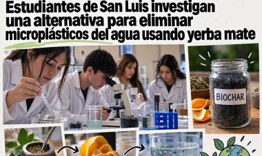 Estudiantes de San Luis investigan cómo retener microplásticos con yerba mate