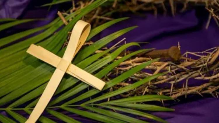 Domingo de Ramos: la Iglesia Católica inicia la Semana Santa