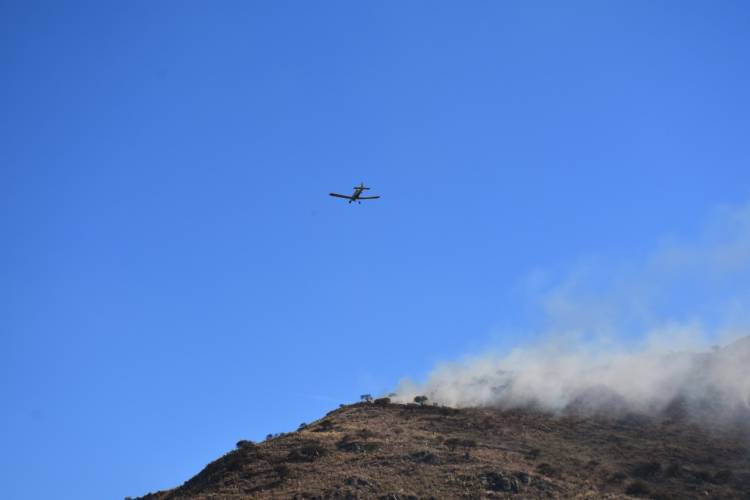 EN SAN LUIS CONTROLARON EL INCENDIO FORESTAL EN LA ZONA SERRANA