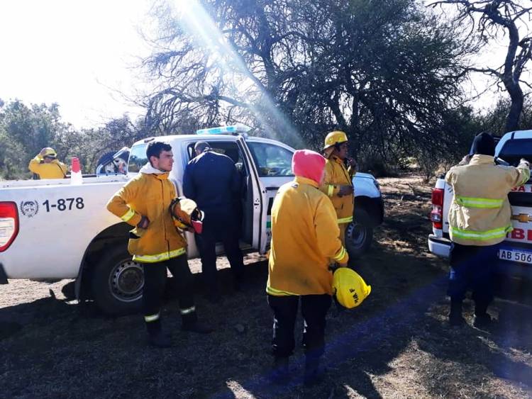 LUCHA CONTRA EL FUEGO EN SAN LUIS: CONTROLARON EL INCENDIO FORESTAL EN LA ZONA DE JUAN LLERENA, EN CERCANÍAS A EL MORRO