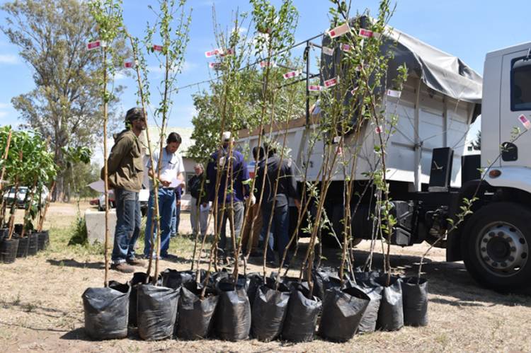 FRUTIHORTICULTURA EN SAN LUIS: EL GOBIERNO IMPULSA EL DESARROLLO DE PARCELAS HORTÍCOLAS Y FRUTÍCOLAS EN EL NORTE PROVINCIAL