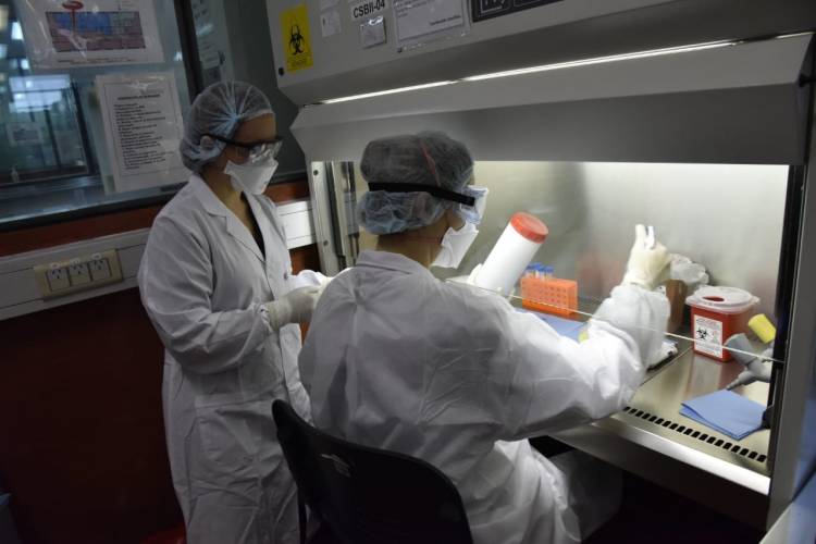CORONAVIRUS: EL MALBRÁN COMENZÓ EL PROCESO DE DESCENTRALIZACIÓN DEL TEST Y LA CAPACITACIÓN SE HARÁ EN FORMA VIRTUAL