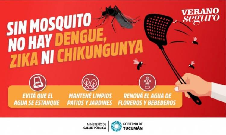 SON 232 LOS CASOS DE DENGUE EN LA PROVINCIA DE TUCUMÁN