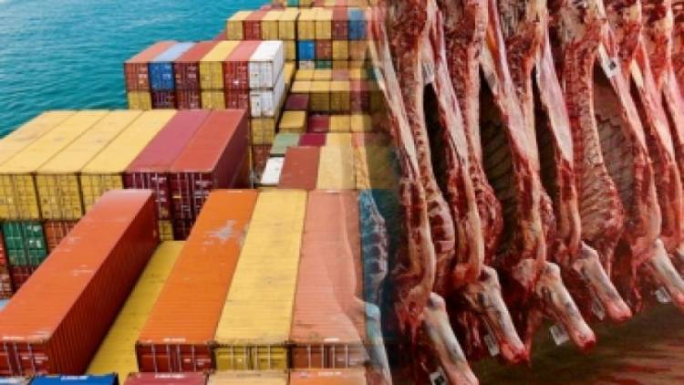 LA EXPORTACIÓN DE CARNE VACUNA CRECIÓ CASI UN 100% EN 12 AÑOS, PERO EL CONSUMO CAYÓ