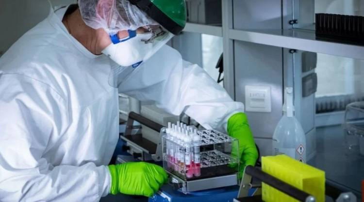 HAY 244 NUEVOS CASOS Y 9 MUERTOS POR CORONAVIRUS  EN ARGENTINA