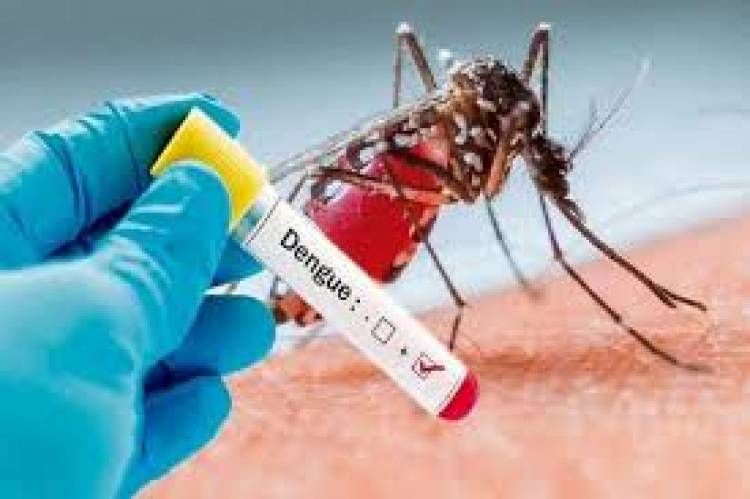 SALTA REGISTRA MÁS DE 5000 PACIENTES CON DENGUE 