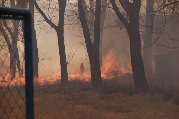 INCENDIO FORESTAL DE GRAN ENVERGADURA EN LA ZONA NORTE DE LA CIUDAD DE VILLA MERCEDES