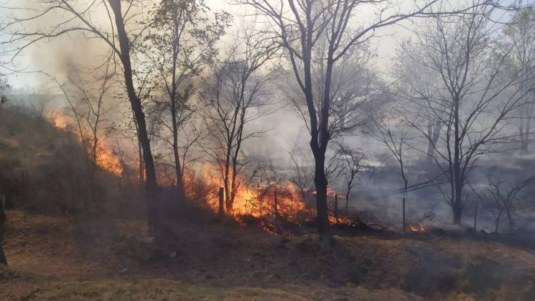 INCENDIOS FORESTALES: EN LA PROVINCIA DE SAN LUIS SE TRATA DE COMBATIR TRES FOCOS EN FORMA SIMULTÁNEA