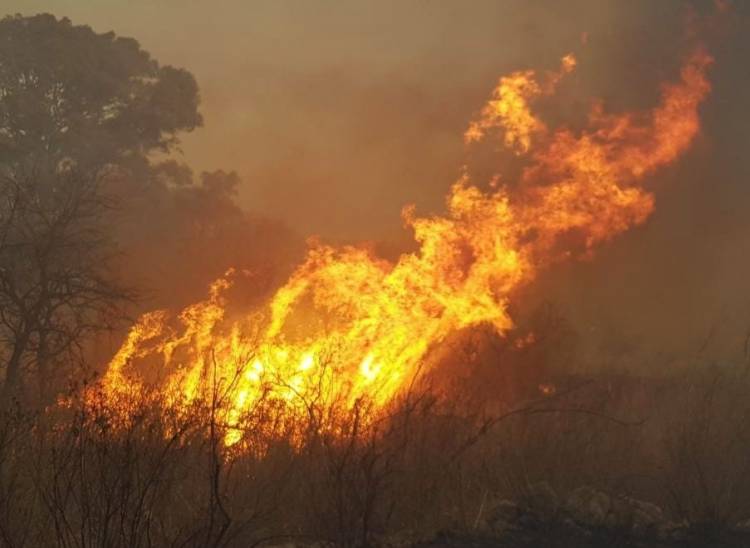 INCENDIOS FORESTALES: SE COMBATEN TRES FOCOS EN LAS SIERRAS DE CÓRDOBA