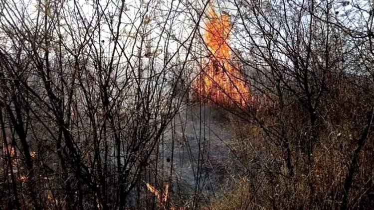 LOS INCENDIOS FORESTALES CONTINÚAN AFECTANDO A LAS PROVINCIAS DE JUJUY, MENDOZA, SALTA Y CÓRDOBA