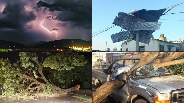 JUJUY: UN TEMPORAL PROVOCÓ ANEGAMIENTO DE CALLES Y AUTOEVACUACIONES, CALLERON ÁRBOLES Y VOLARON TECHOS