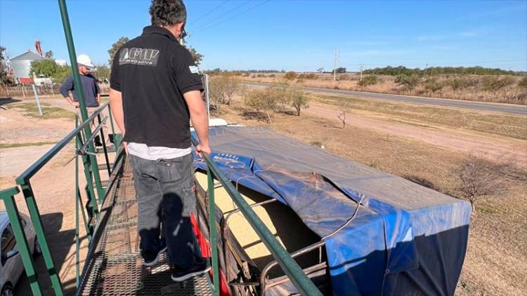 LA AFIP PROCEDIMIENTO EN CÓRDOBA INCAUTÓ MÁS DE 3 MIL TONELADAS DE MAÍZ Y SOJA: EQUIVALE A 97 CAMIONES